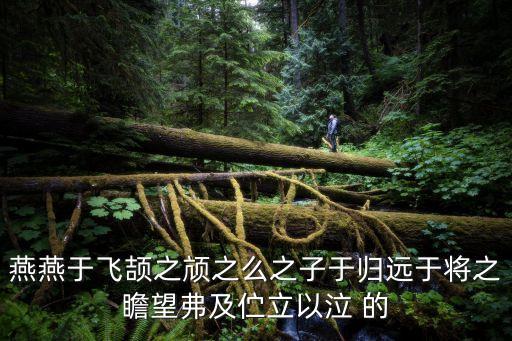 燕燕于飛頡之頏之么之子于歸遠于將之瞻望弗及佇立以泣 的