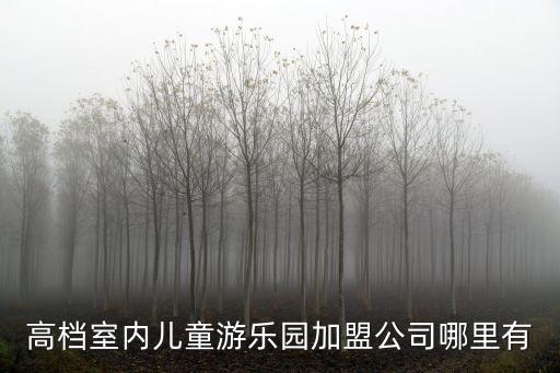高檔室內兒童游樂園加盟公司哪里有