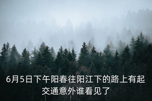 6月5日下午陽春往陽江下的路上有起交通意外誰看見了