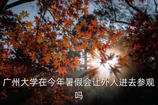 廣州大學現(xiàn)在還讓進嗎，廣州大學在今年暑假會讓外人進去參觀嗎