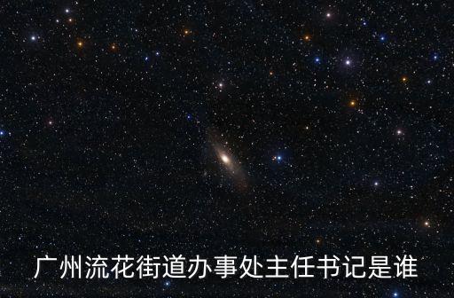 廣州流花街道辦事處主任書記是誰