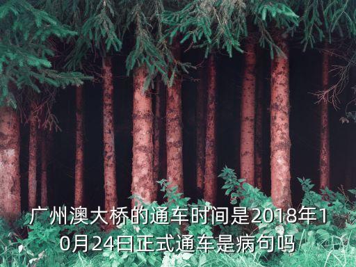 廣州洪奇瀝大橋通車時間，廣州輕鐵在中山境內(nèi)有幾個車站