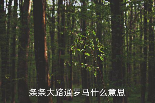 條條大道通羅馬，條條大路通羅馬什么意思