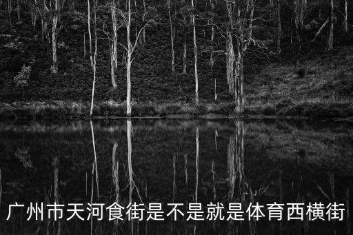 廣州市天河食街是不是就是體育西橫街