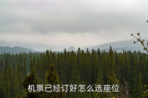 機(jī)票已經(jīng)訂好怎么選座位