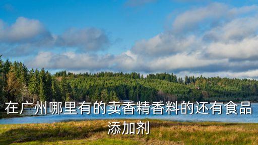 在廣州哪里有的賣香精香料的還有食品添加劑