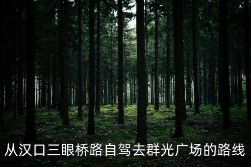 從漢口三眼橋路自駕去群光廣場的路線