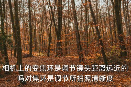 變焦環，數碼相機的變焦環是什么意思