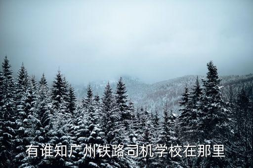 廣州鐵路在哪培訓(xùn)，有誰(shuí)知廣州鐵路司機(jī)學(xué)校在那里