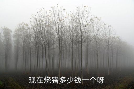 現(xiàn)在燒豬多少錢一個(gè)呀