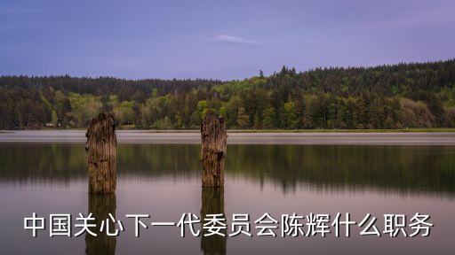 中國關心下一代委員會陳輝什么職務