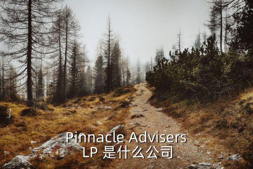 廣州世邦投資顧問有限公司，Pinnacle Advisers LP 是什么公司