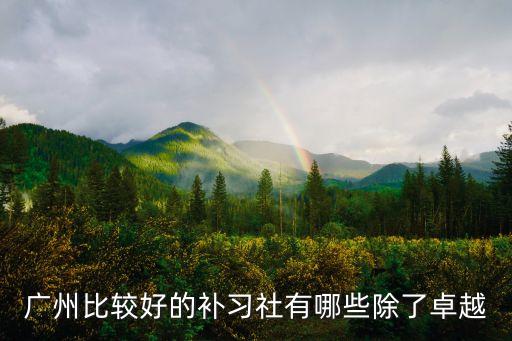 廣州比較好的補習社有哪些除了卓越