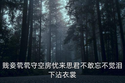 賤妾煢煢守空房，賤妾煢煢守空房憂來思君不敢忘中煢煢是什么意思