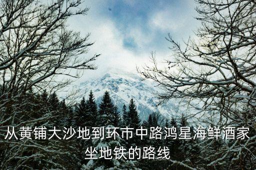 廣州黃岐環市路，從黃鋪大沙地到環市中路鴻星海鮮酒家坐地鐵的路線