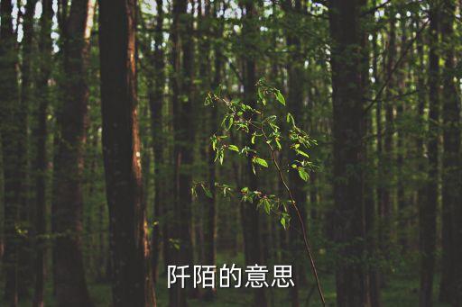 阡陌的意思