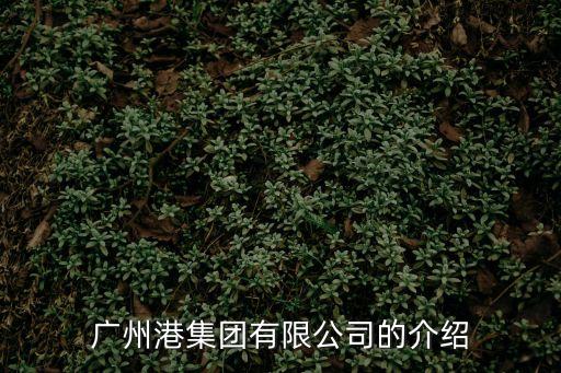 廣州港船舶調度中心，乙級資質船員服務機構