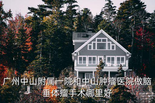 廣州中山附屬一院和中山腫瘤醫院做腦垂體瘤手術哪里好