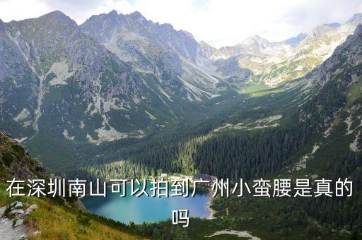 在深圳南山可以拍到廣州小蠻腰是真的嗎