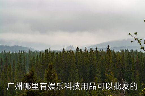 廣州哪里有娛樂科技用品可以批發的