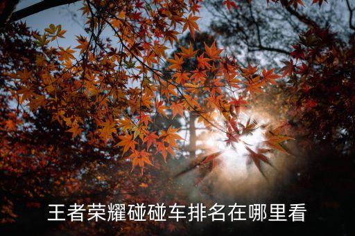 王者榮耀碰碰車排名在哪里看