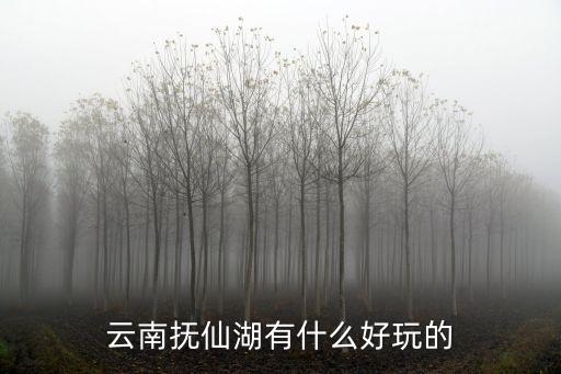 撫仙湖，撫仙湖在什么地方