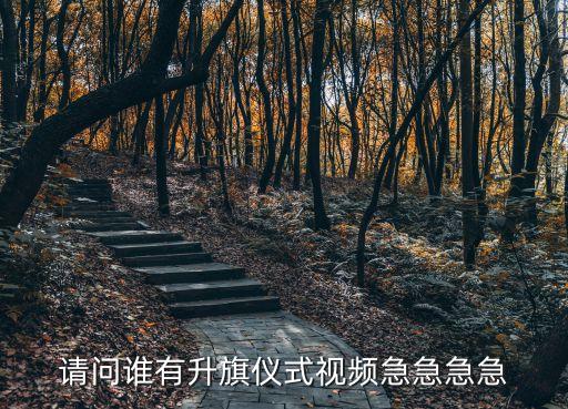 廣州國旗舞動視頻，急需飄動的中國國旗動畫或GIF要大要清晰