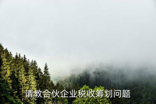 請教合伙企業稅收籌劃問題