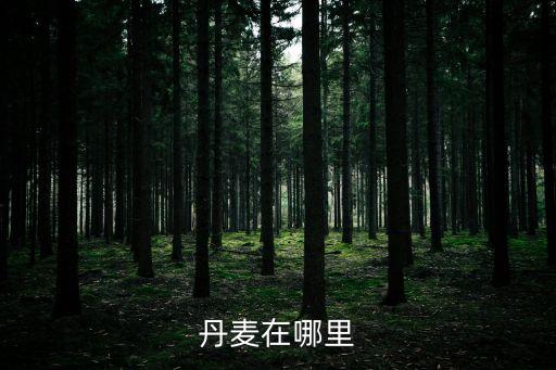 丹麥王國，丹麥在哪里