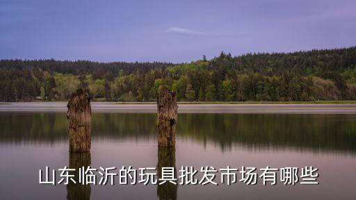 臨沂玩具批發(fā)市場，臨沂批發(fā)兒童玩具在什么地方
