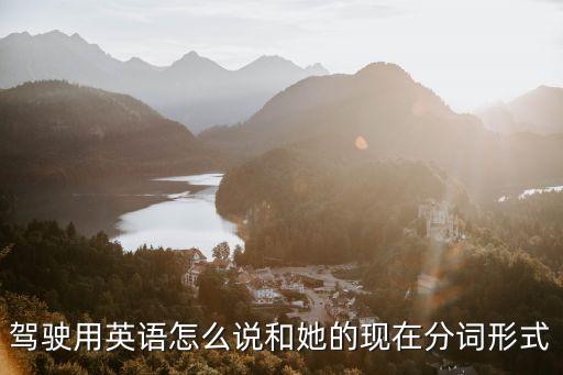 駕駛的英文，steer的中文意思是什么