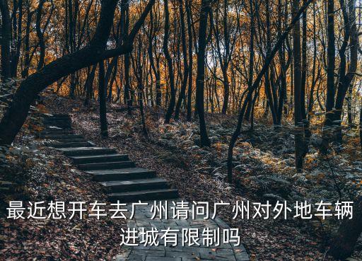 最近想開車去廣州請問廣州對外地車輛進城有限制嗎