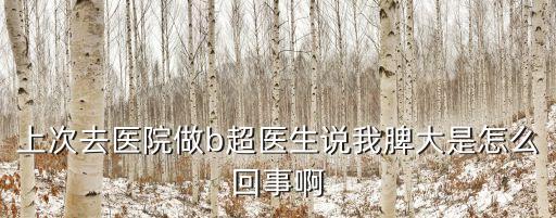 脾大的原因，脾臟大是什么原因引起的