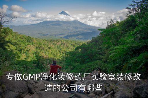 專做GMP凈化裝修藥廠實驗室裝修改造的公司有哪些