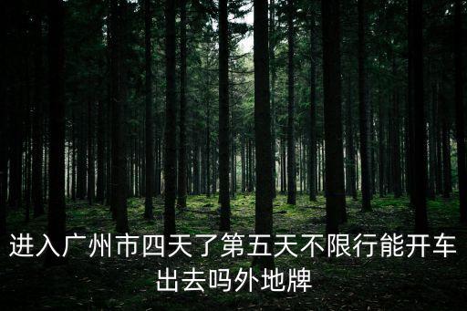進入廣州市四天了第五天不限行能開車出去嗎外地牌