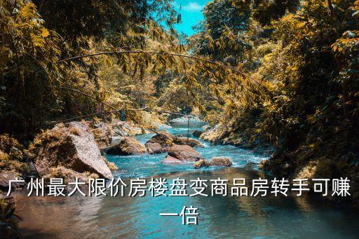 廣州最大限價房樓盤變商品房轉(zhuǎn)手可賺一倍