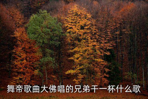 舞帝歌曲大佛唱的兄弟干一杯什么歌