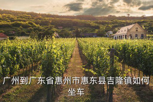 廣州到廣東省惠州市惠東縣吉隆鎮如何坐車