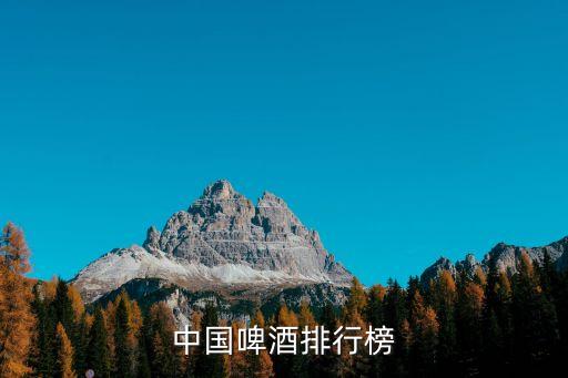 中國啤酒排行榜