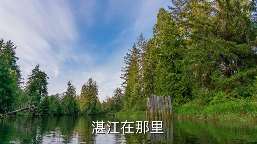 吳川感染者在廣州大石嗎，請問湛江吳川市長岐鎮在建設中的是否高鐵的呢蘇村那陵村之間