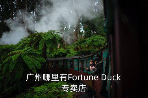 廣州哪里有Fortune Duck專賣店