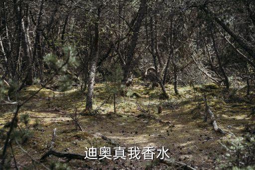 真我香水，dior真我香水多少錢