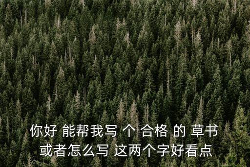 你好 能幫我寫 個 合格 的 草書 或者怎么寫 這兩個字好看點(diǎn)