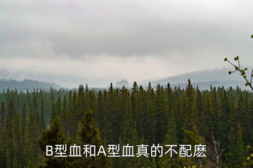 a型血和b型血，A型血和B型血可以搭配嗎