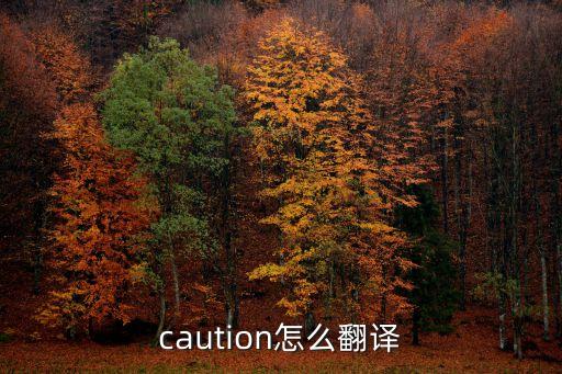 caution怎么翻譯