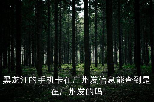 黑龍江的手機卡在廣州發信息能查到是在廣州發的嗎