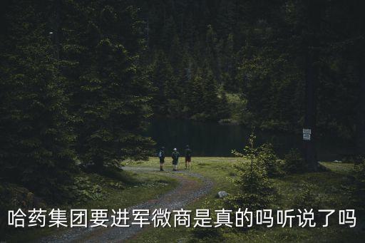 6月5日廣州新聞發布會，哈藥集團要進軍微商是真的嗎聽說了嗎