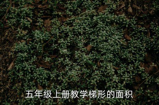 五年級上冊教學(xué)梯形的面積