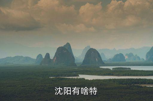 沈陽(yáng)有啥特