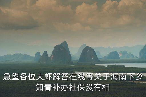 急望各位大蝦解答在線等關于海南下鄉知青補辦社保沒有相